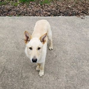 Meet your Posher, Insoon